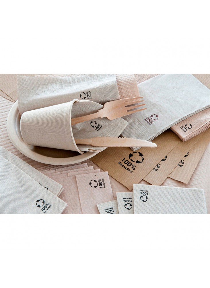 SERVIETTES ECOLABEL DOUBLE POINT 18 G/M2 39x39 CM ROUSSILLON OUATE (1200 UNITÉS) - REF. 101.14 main image 1